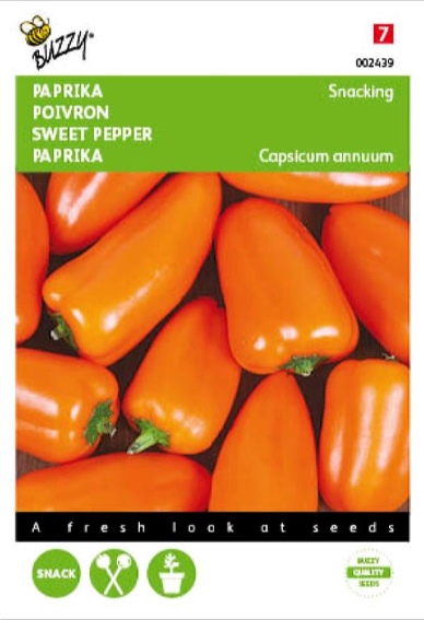 Mini Sweet Pointed Pepper Naranja F1 (Capsicum) 6 seeds